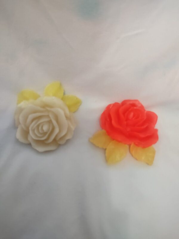 Radiant Glow Roses